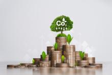 CECarbon_a_calculadora_de_carbono_que_conta_com_EPDs_da_Saint_Gobain_para_construção_sustentável